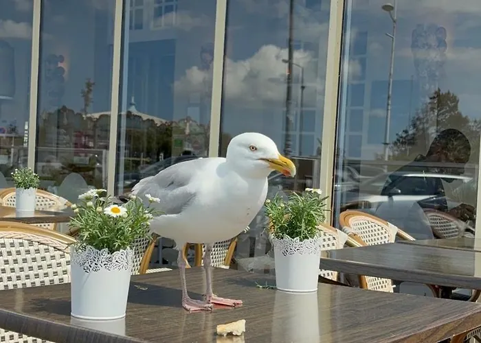 Vaelloo 3 Pers Port De Plaisance Apartment Courseulles-sur-Mer